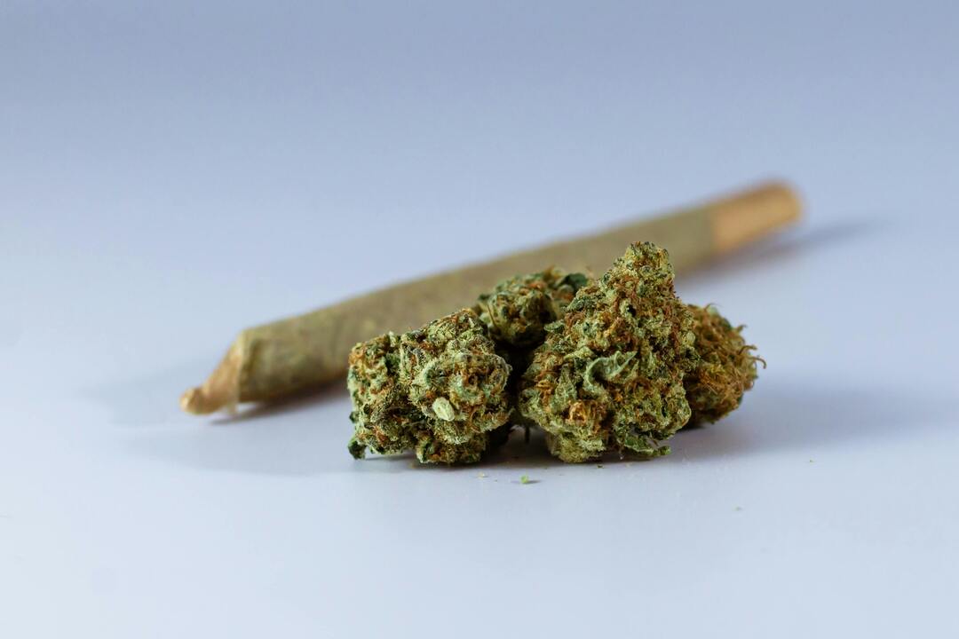 Original Blitz — GreenDoor Pre-Roll