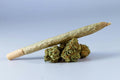 Chemsherbert — Greenhouse Pre-Roll