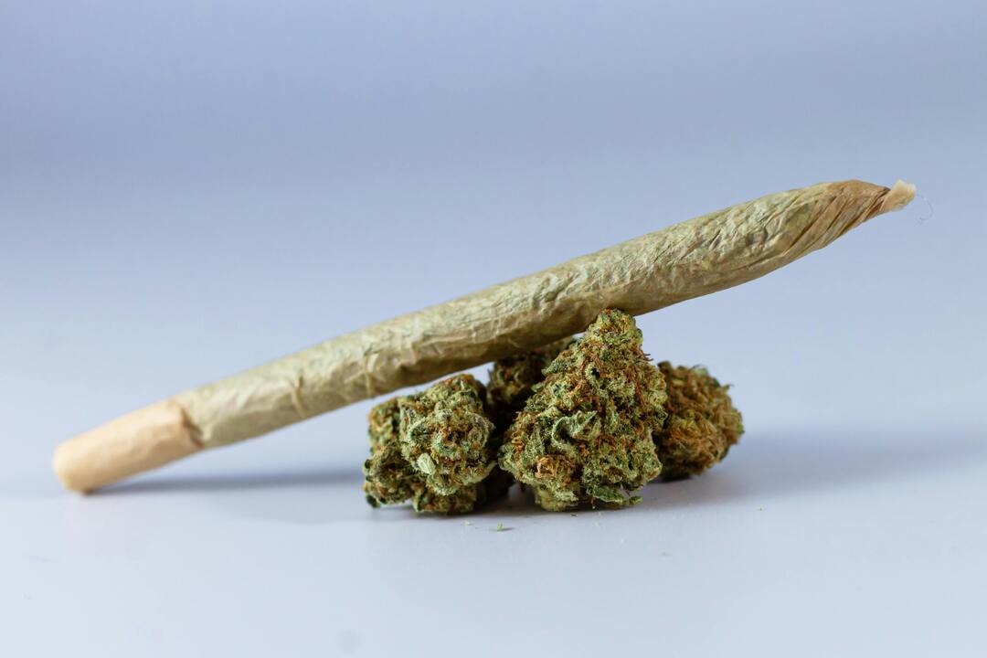 Chemsherbert — Greenhouse Pre-Roll