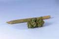 Lemon Blitz — Greenhouse Pre-Roll