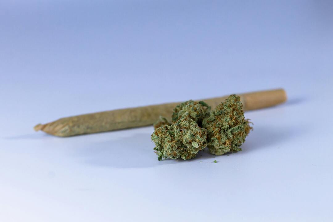 Lemon Blitz — Greenhouse Pre-Roll